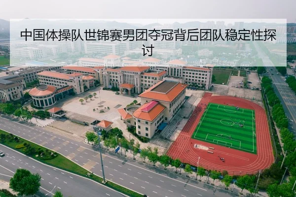 中国体操队世锦赛男团夺冠背后团队稳定性探讨